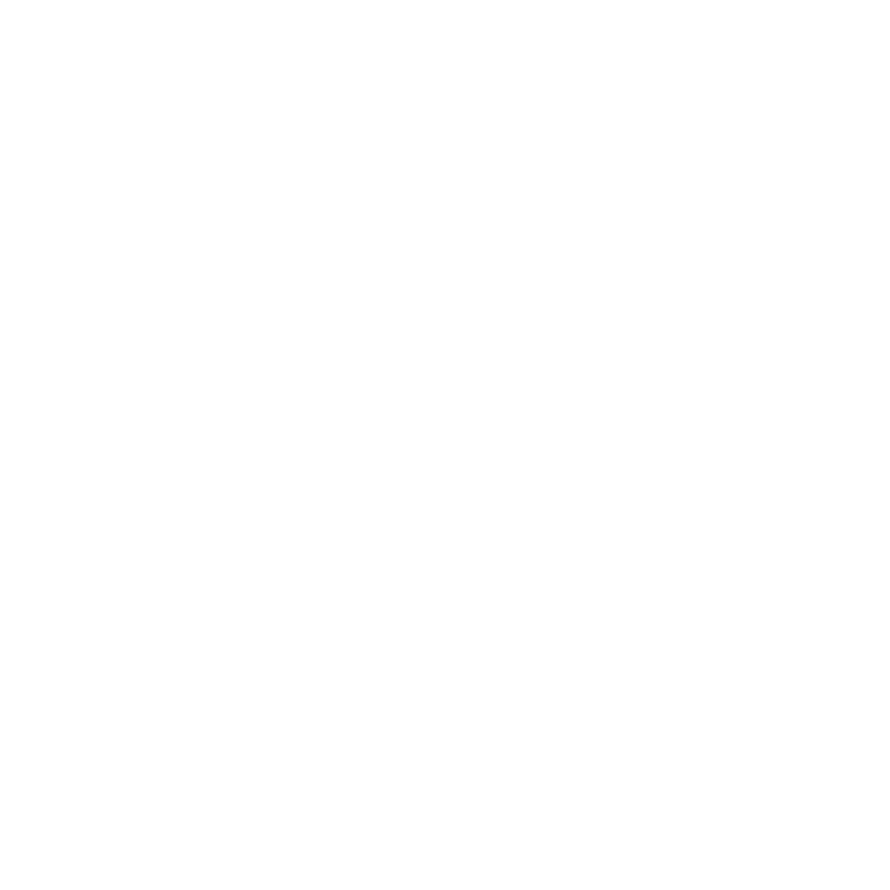 Balance Nutrition — logo