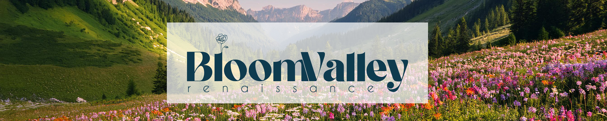 BloomValley — Amazon store cover