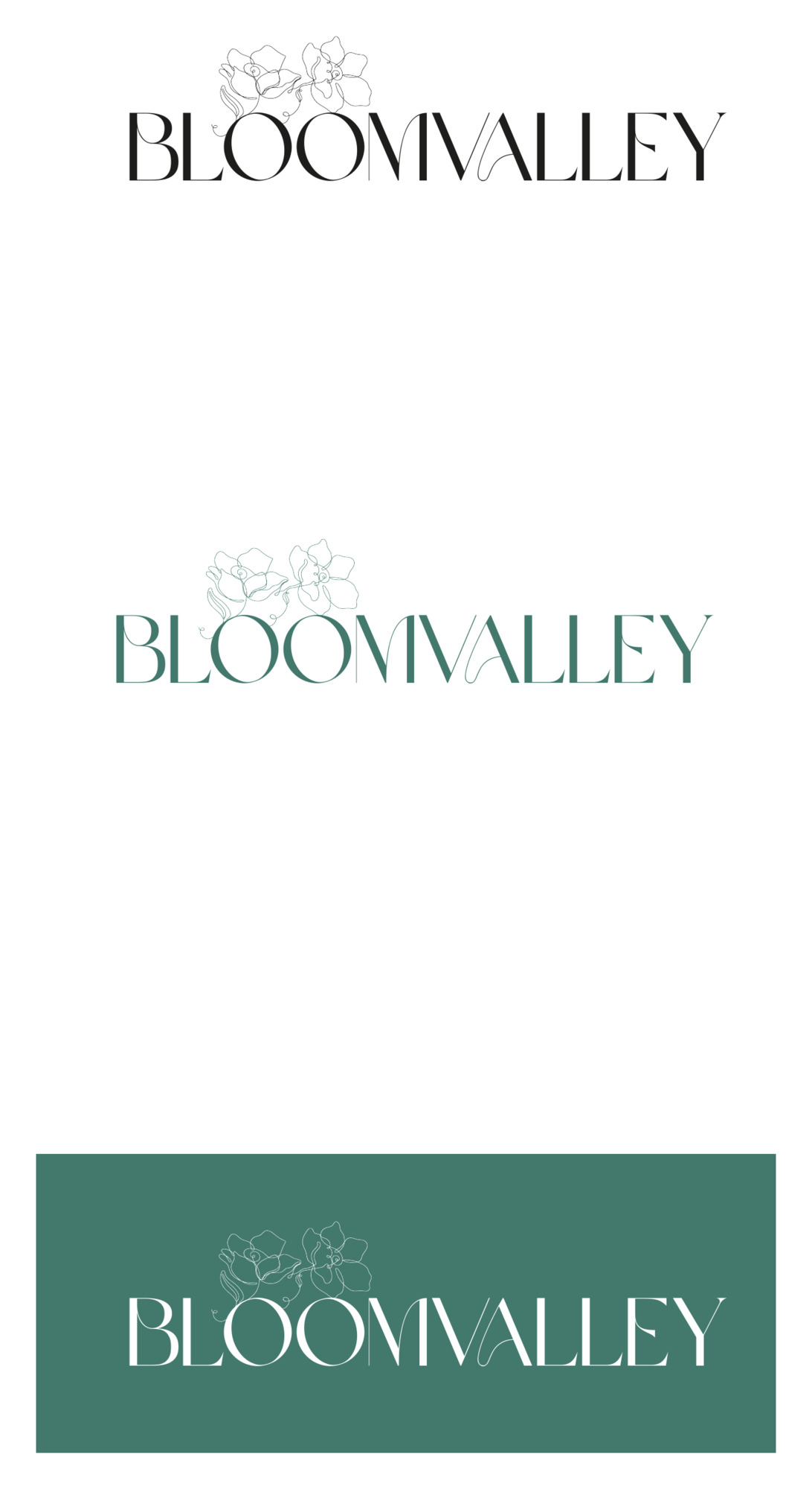 Bloom Valley — studio logo, cluster orchidea e caps BLOOMVALLEY