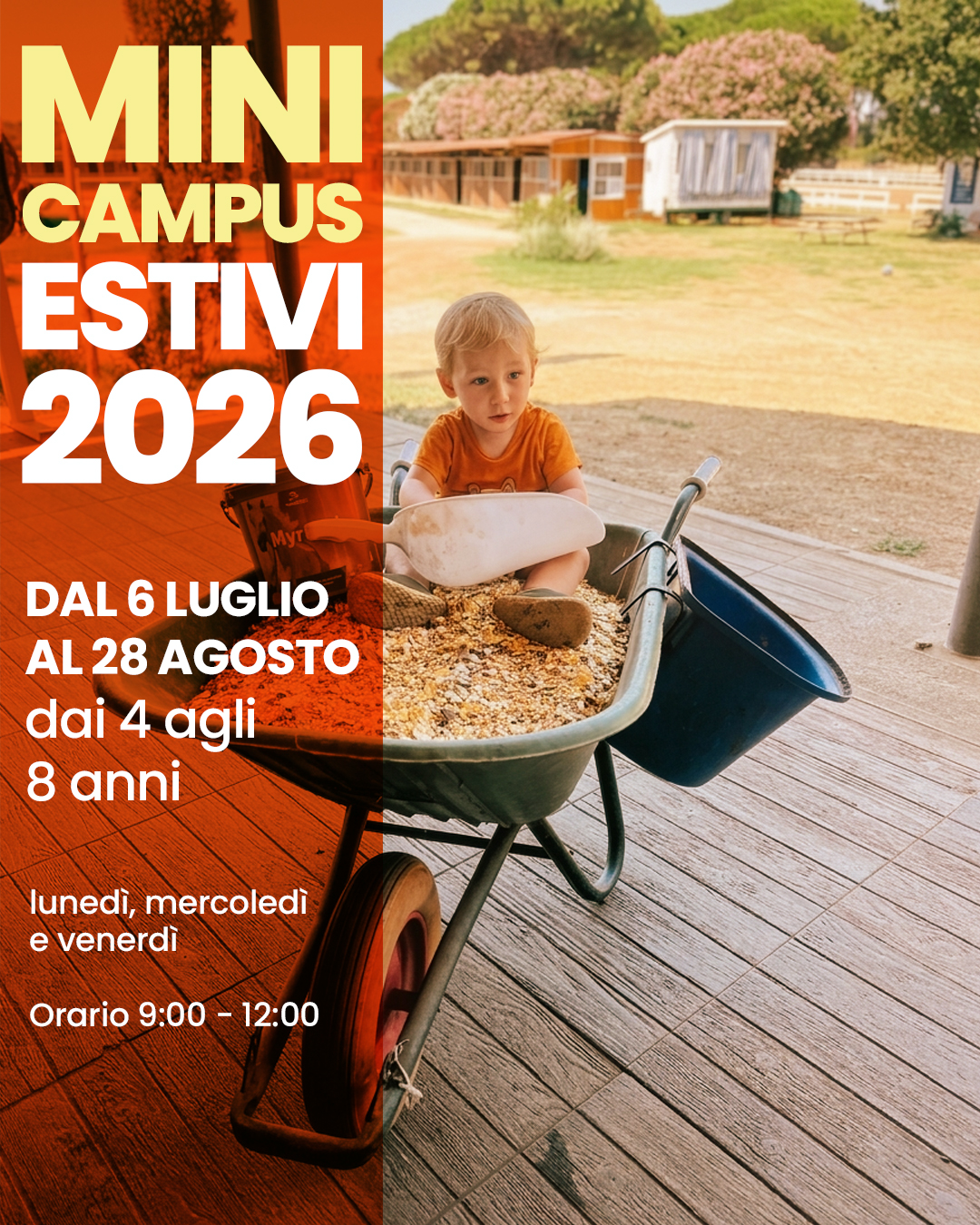 MiniCampus 2026