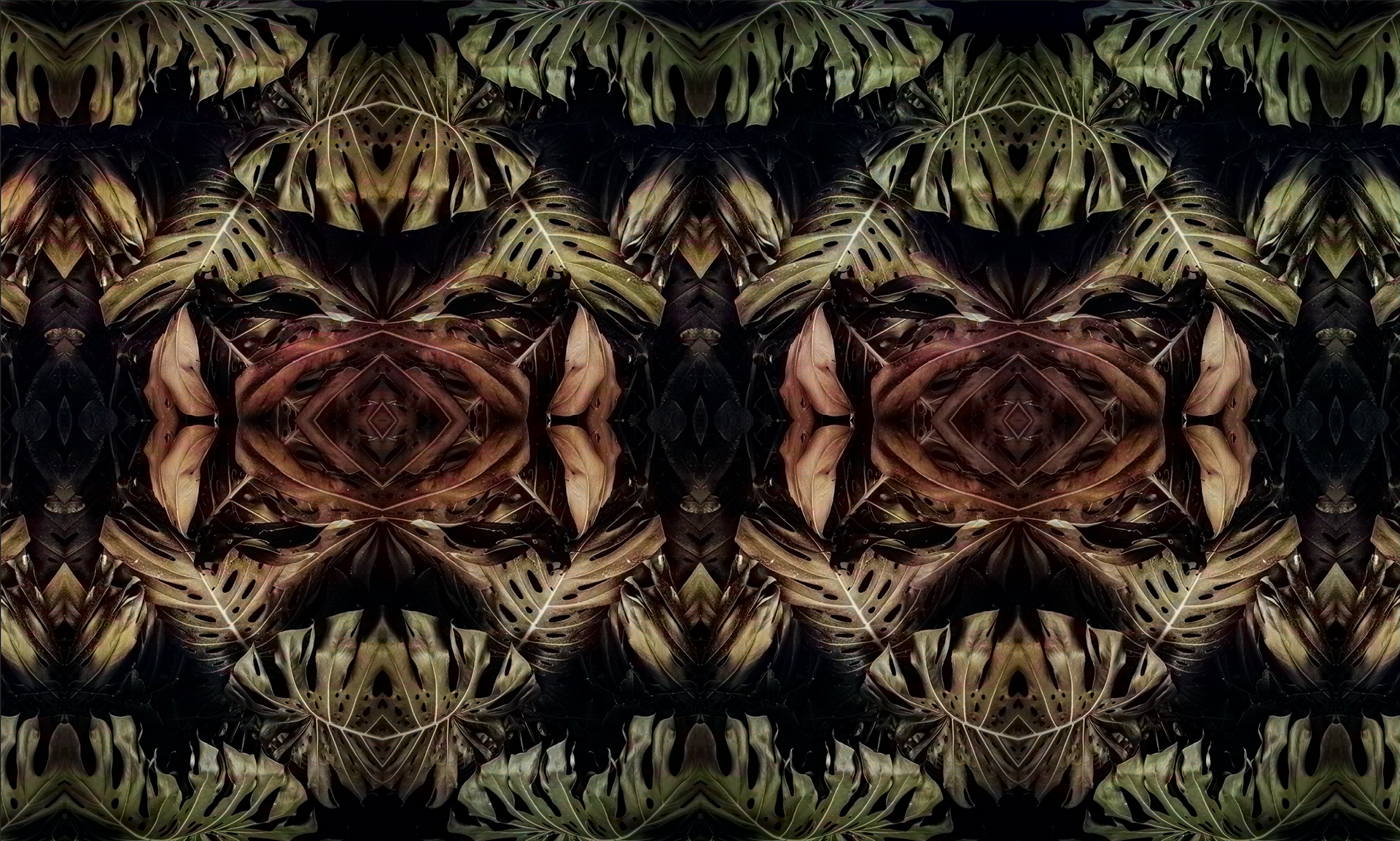 Fullwall — pattern Monstera, colorazione bruno/oliva