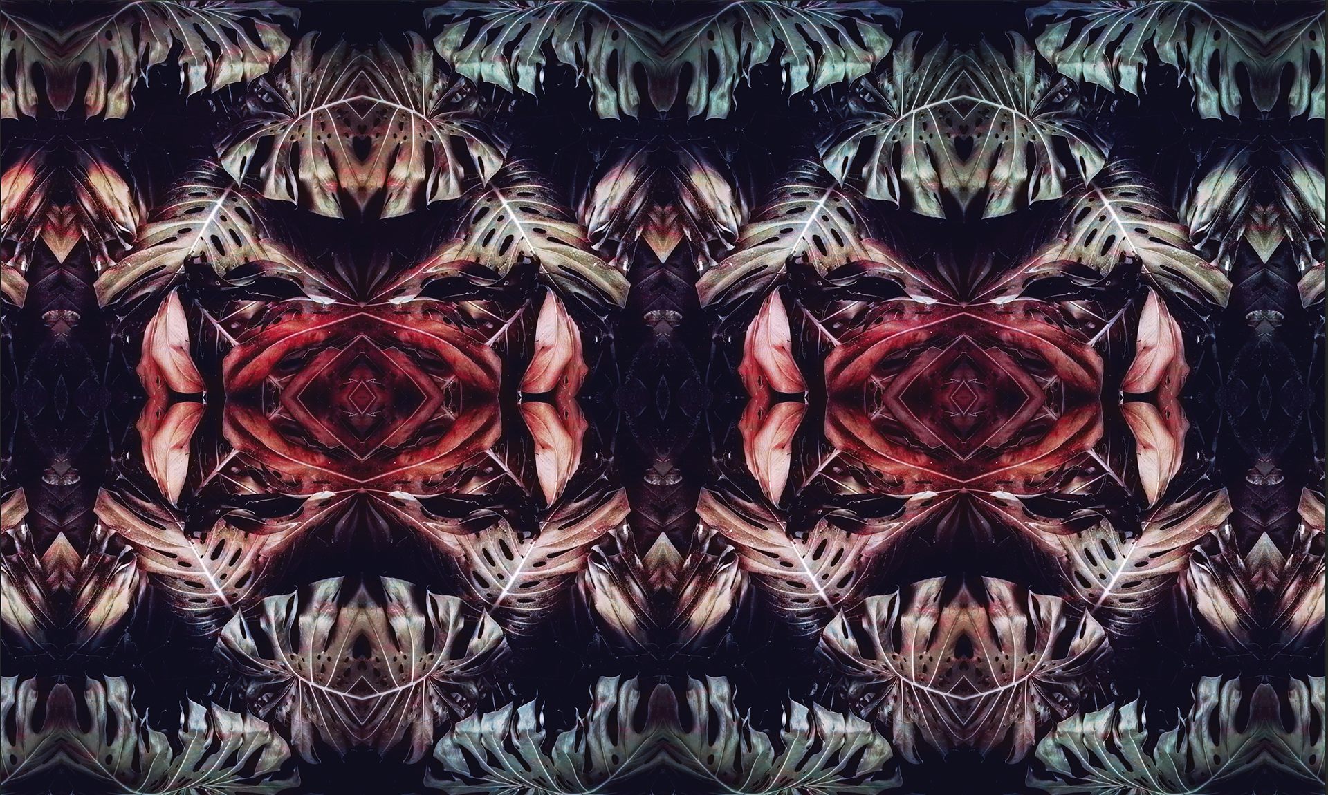 Fullwall — pattern Monstera, colorazione rosso/rosa