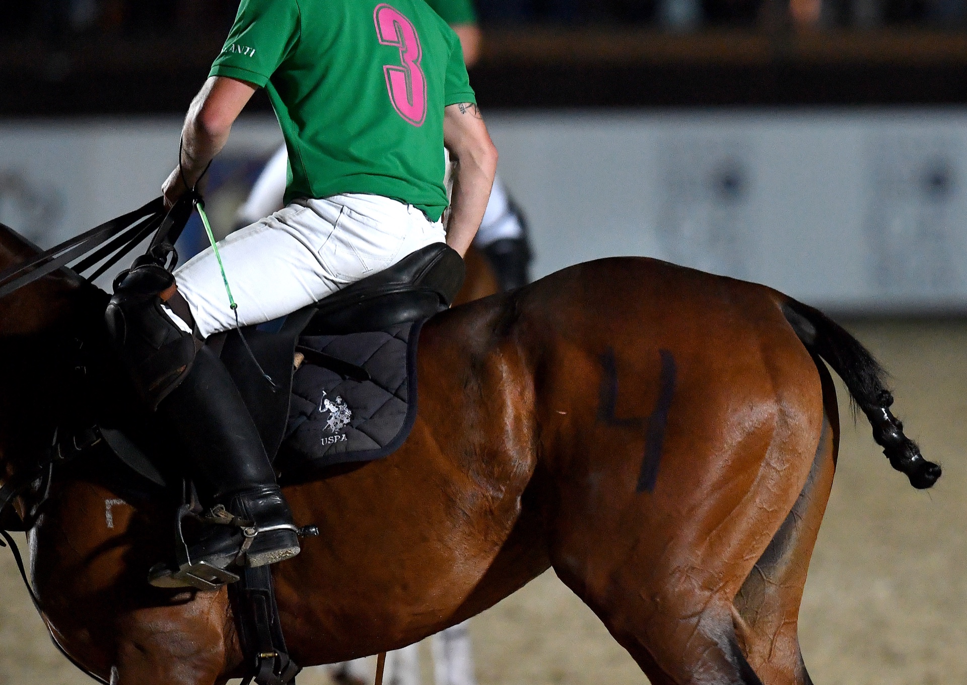 Italia Polo Challenge, Roma — Piazza di Siena, cavallo da polo